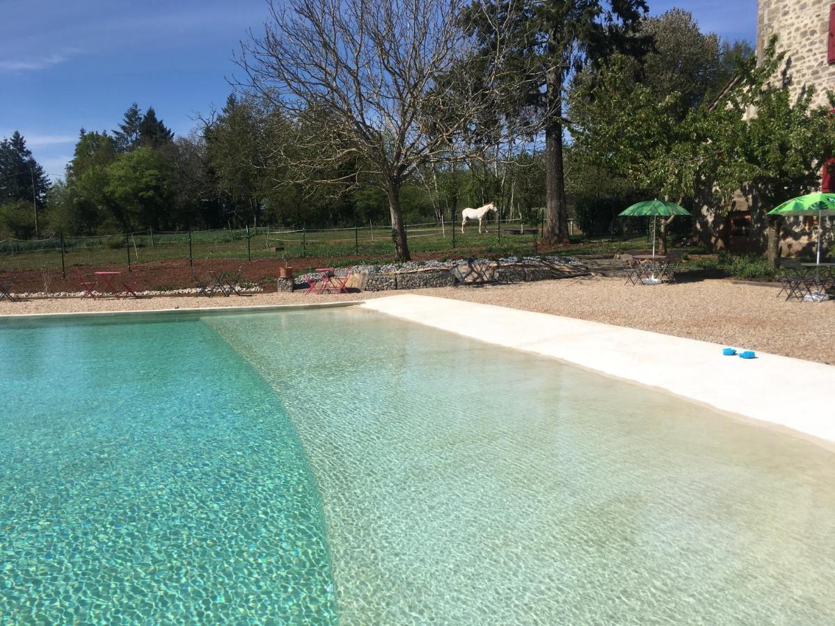 Ecuries de Saint Maurice Bed & Breakfast Lacapelle-Marival Exterior foto