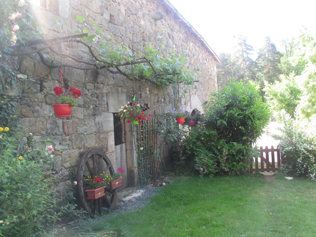 Ecuries de Saint Maurice Bed & Breakfast Lacapelle-Marival Exterior foto