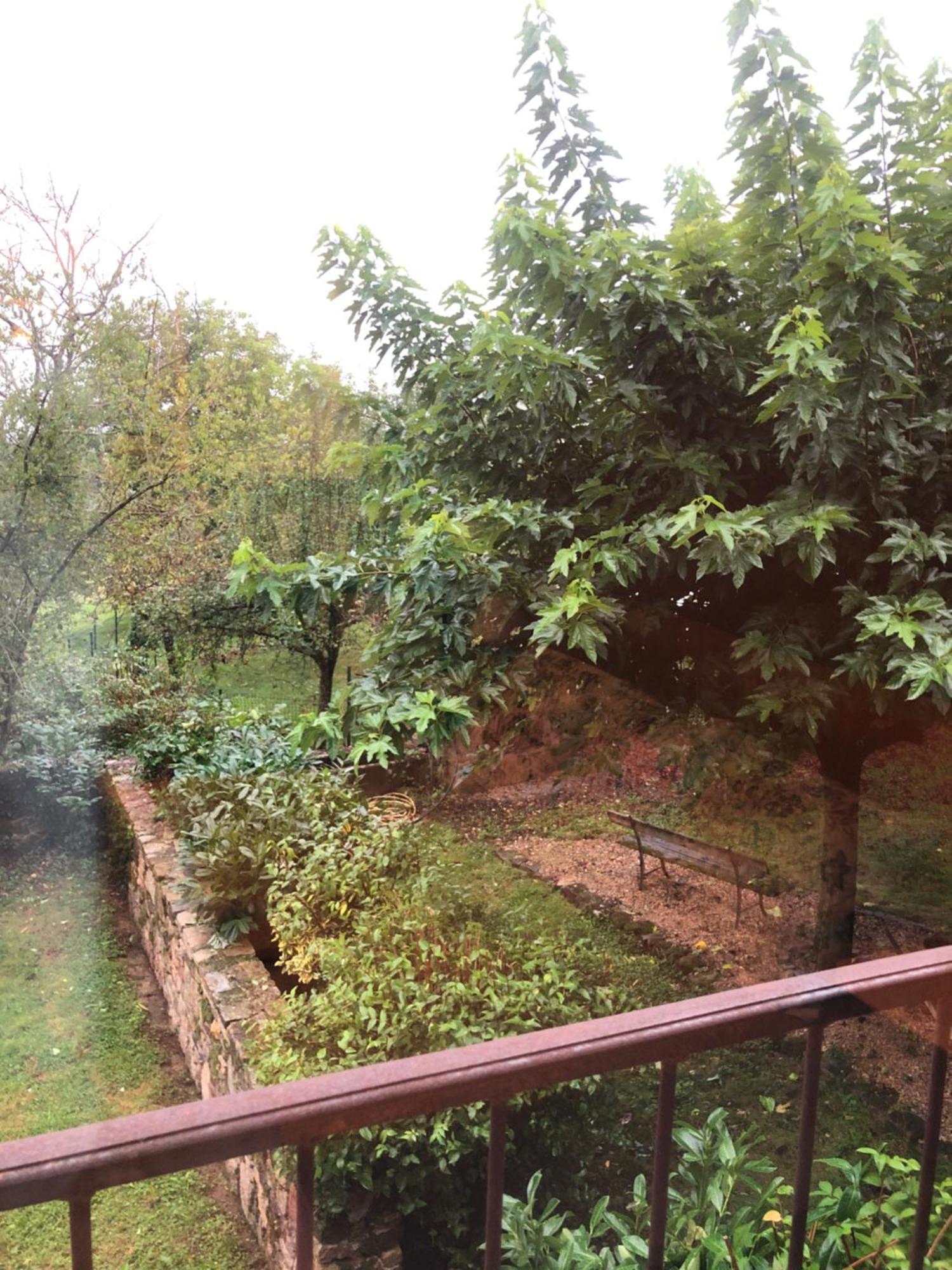 Ecuries de Saint Maurice Bed & Breakfast Lacapelle-Marival Exterior foto
